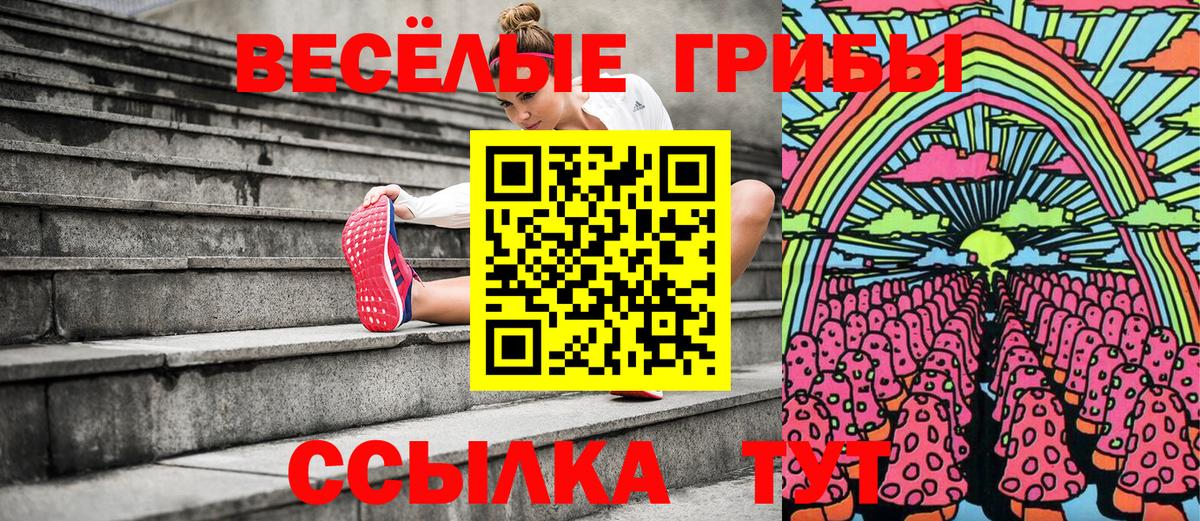 Волхов  Галлюциногенные грибы ЛСД  Галлюциногенные грибы ЛСД  Вход с VPN 
