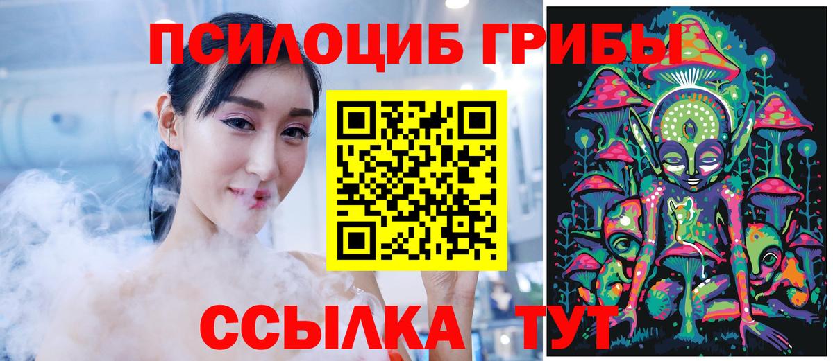 Галлюциногенные грибы Psilocybe Волхов
